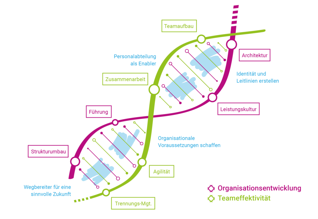 MenschWert_Unternehmens-DNA